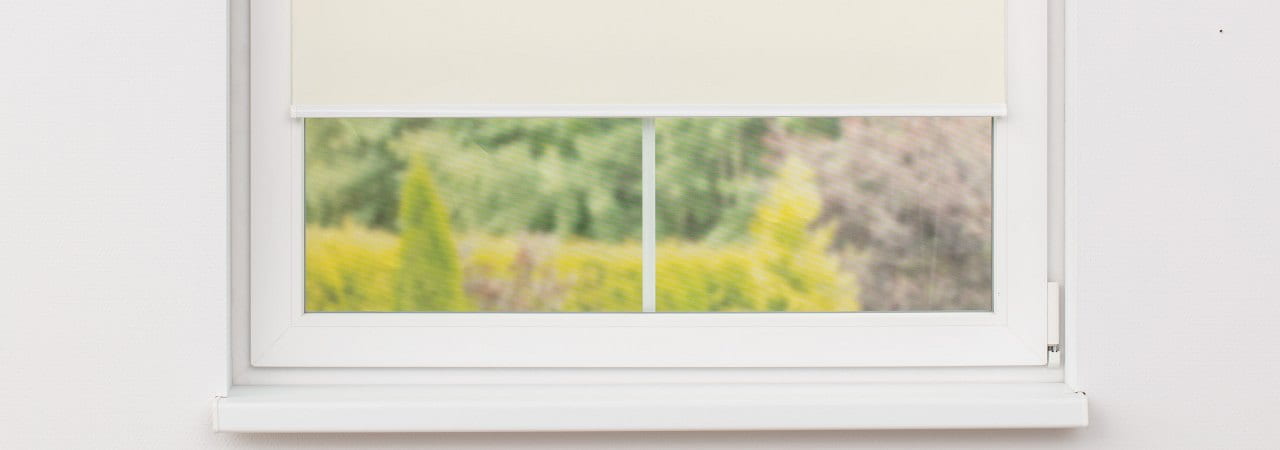 transparente003.jpg