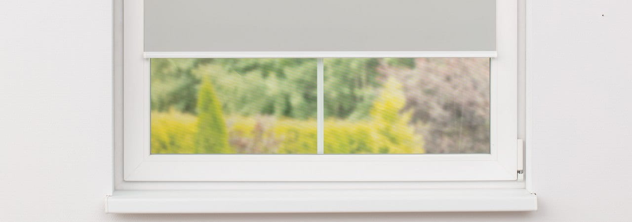 transparente004.jpg