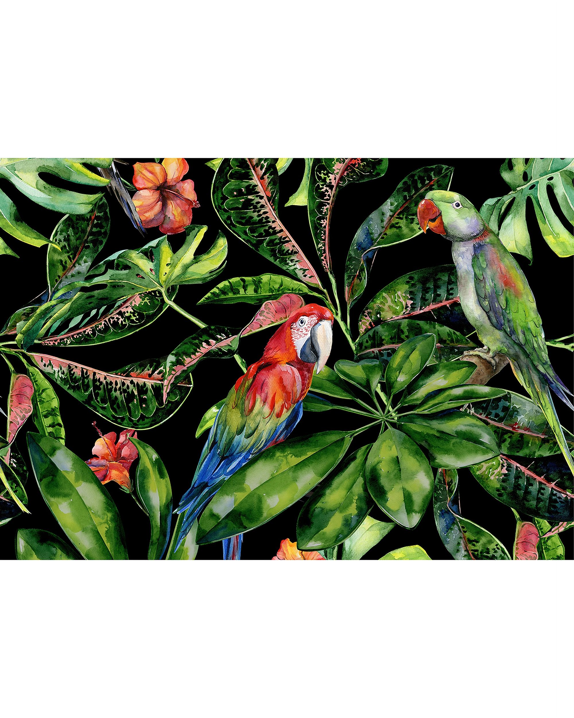 Plátno maľba Tropical Birds