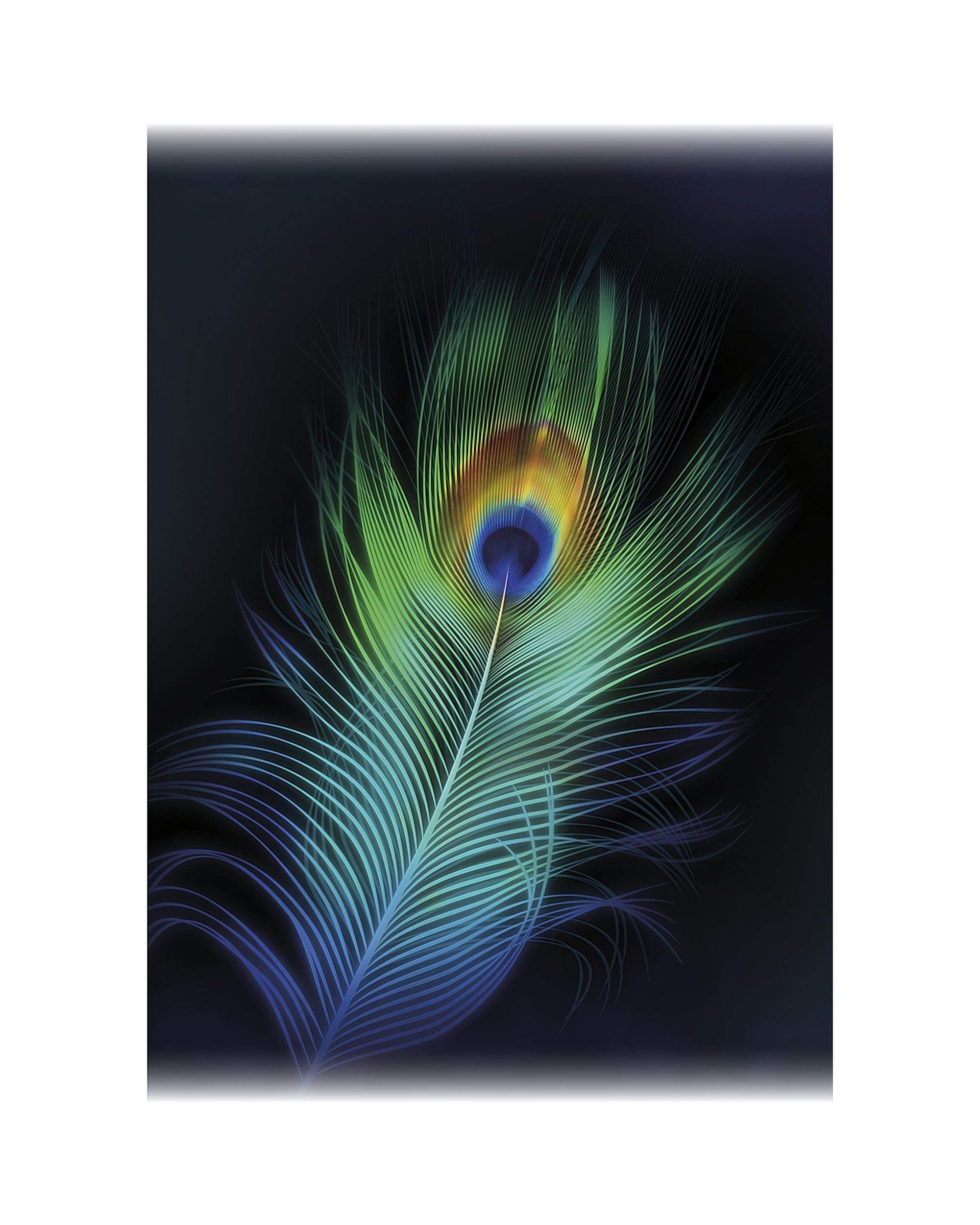 Plátno maľba Peacock Eye