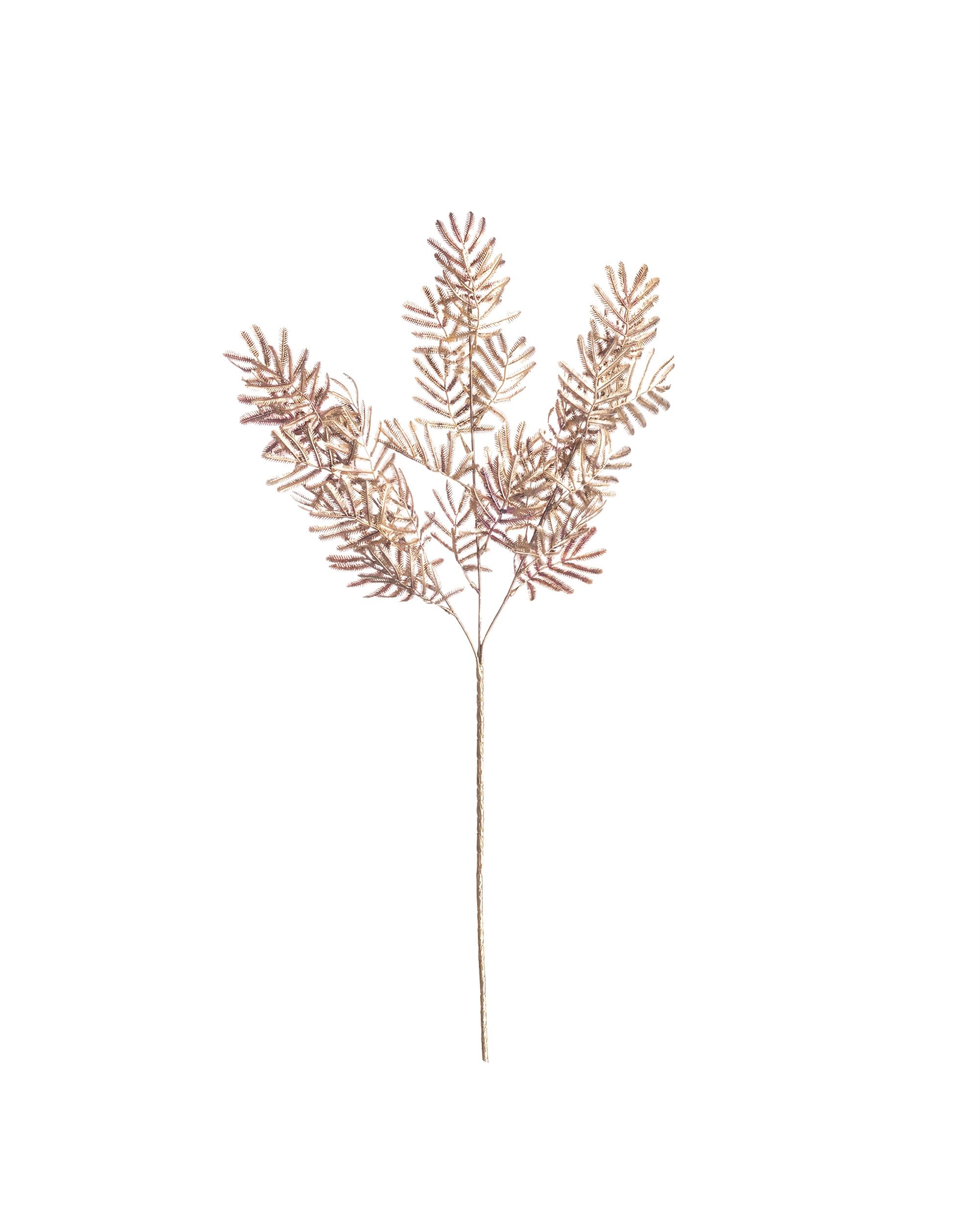 Pobočka Mimosa 65cm gold