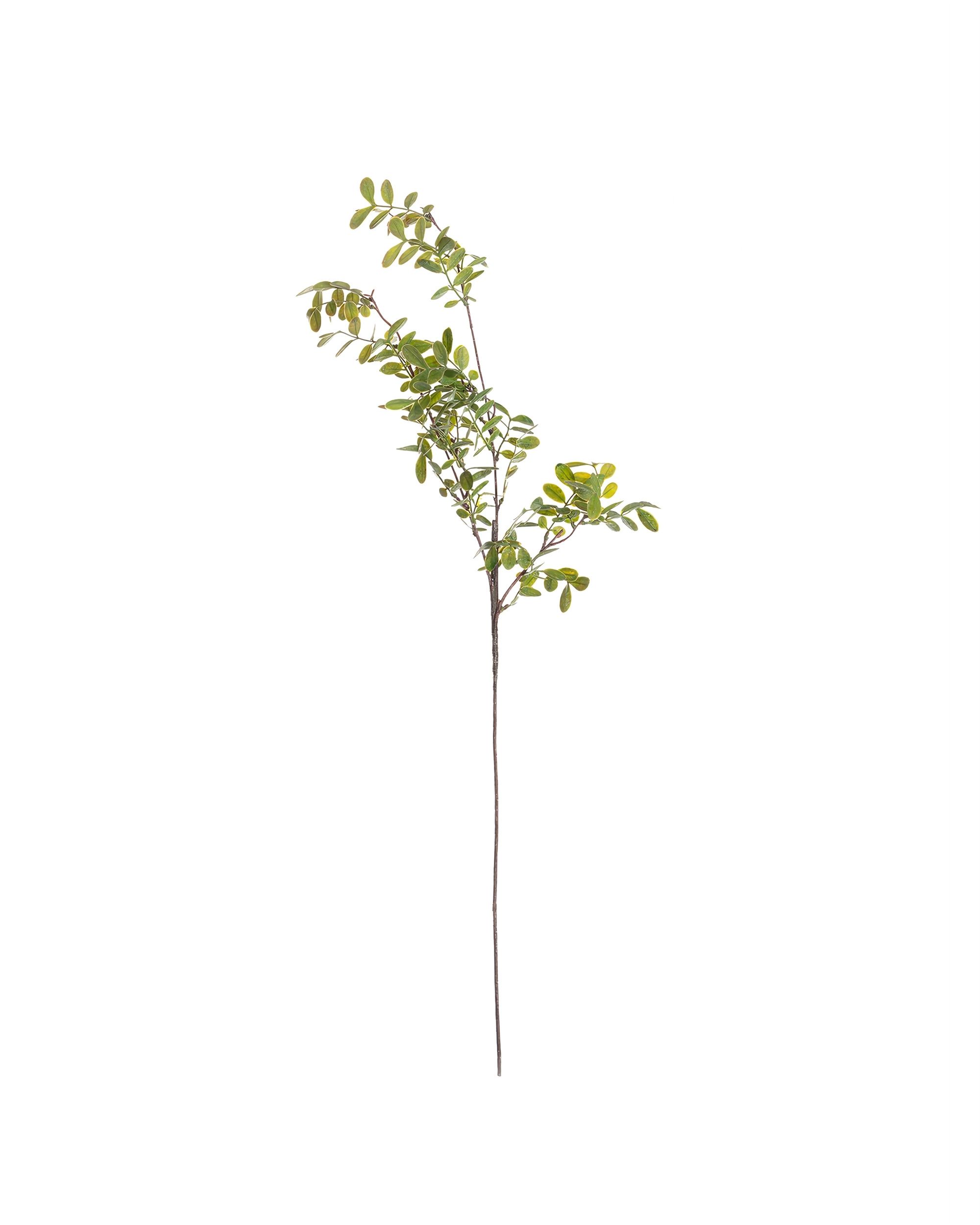 Vetvička Green Twig 100cm