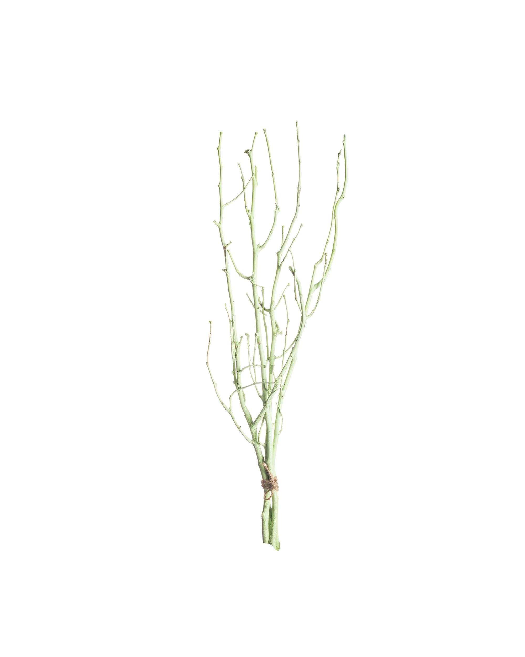 Lísková vetva 50cm light green