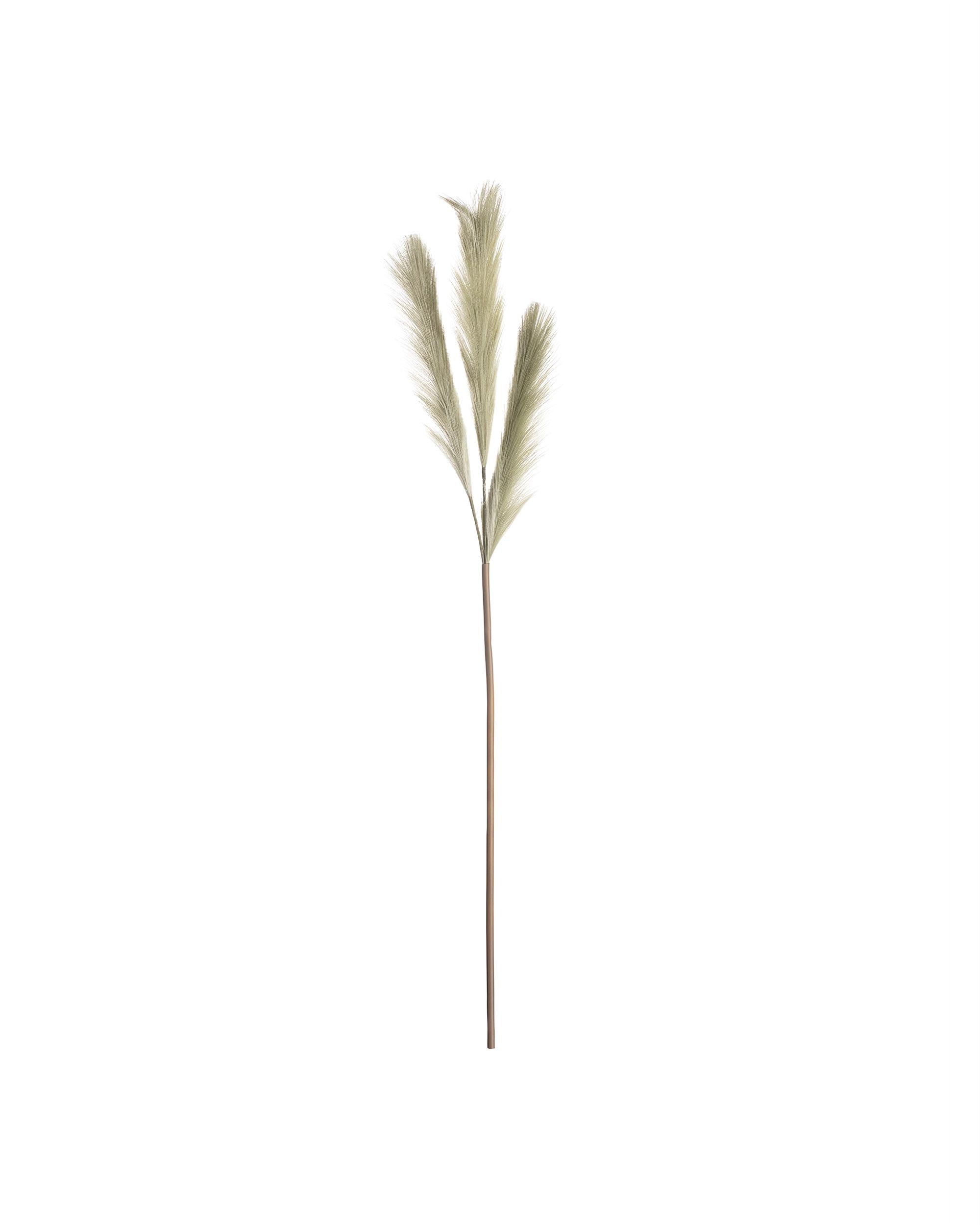 Pampová tráva 110cm green