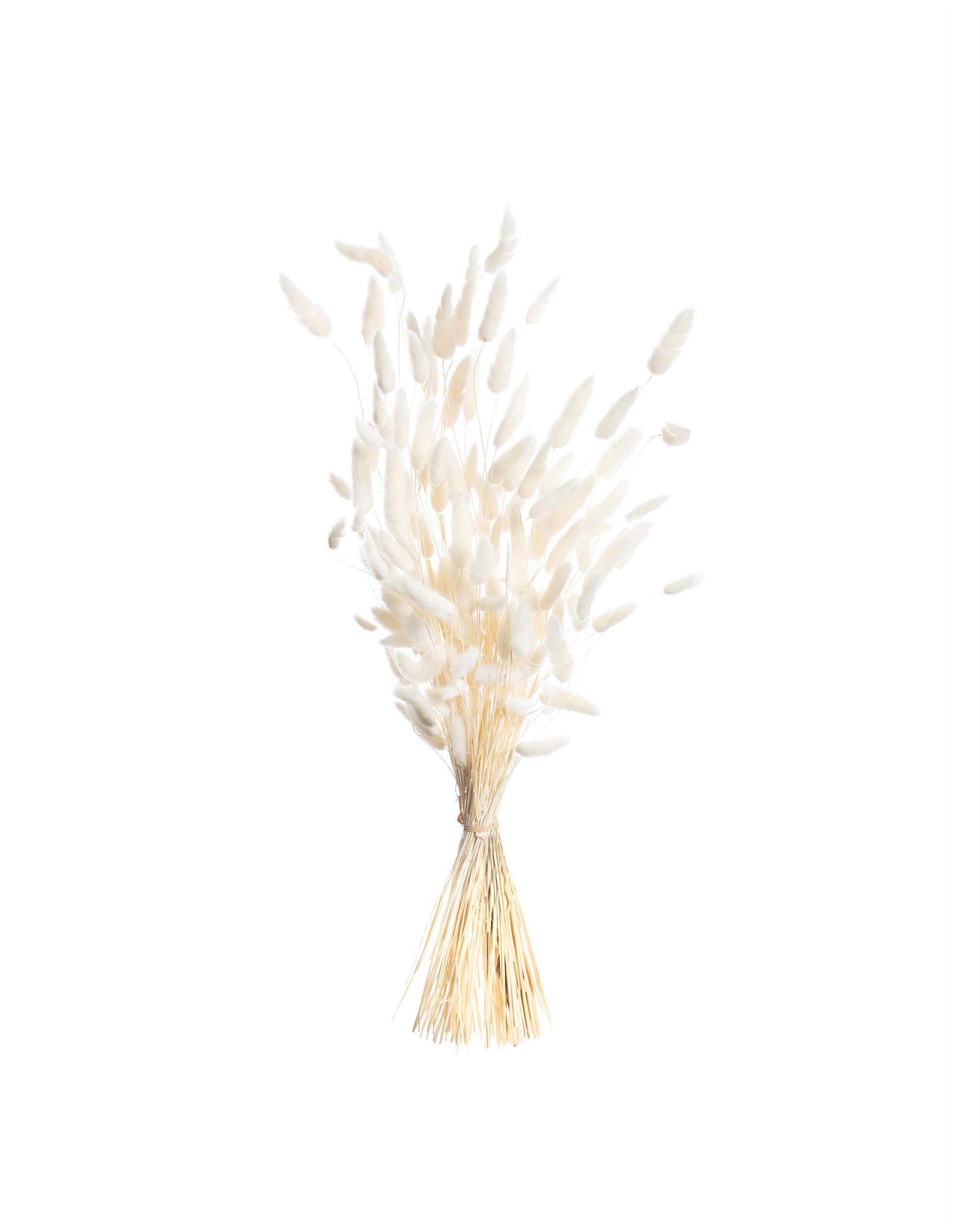 Kytica fúkačiek 60cm cream