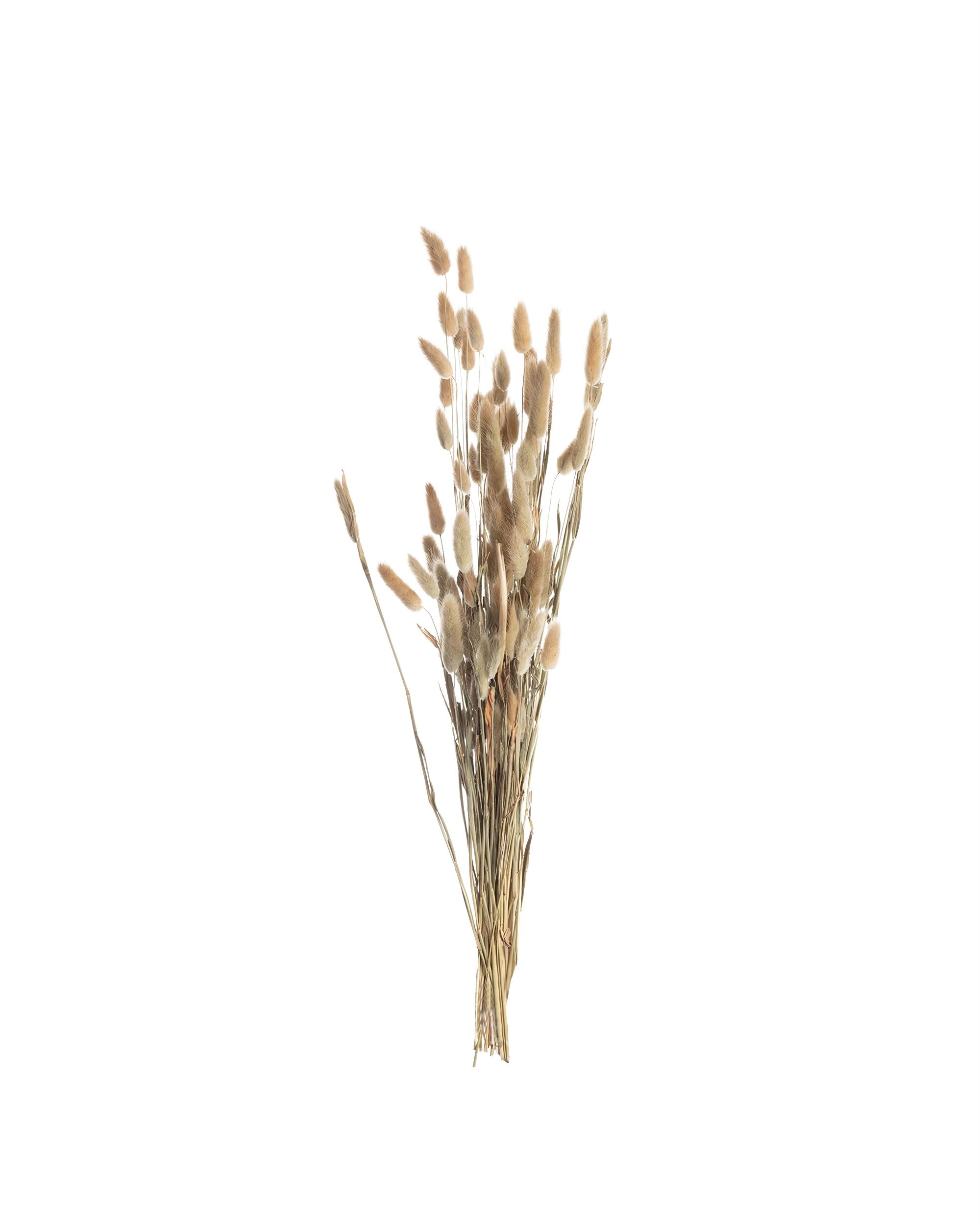 Kytica fúkačiek 60cm beige