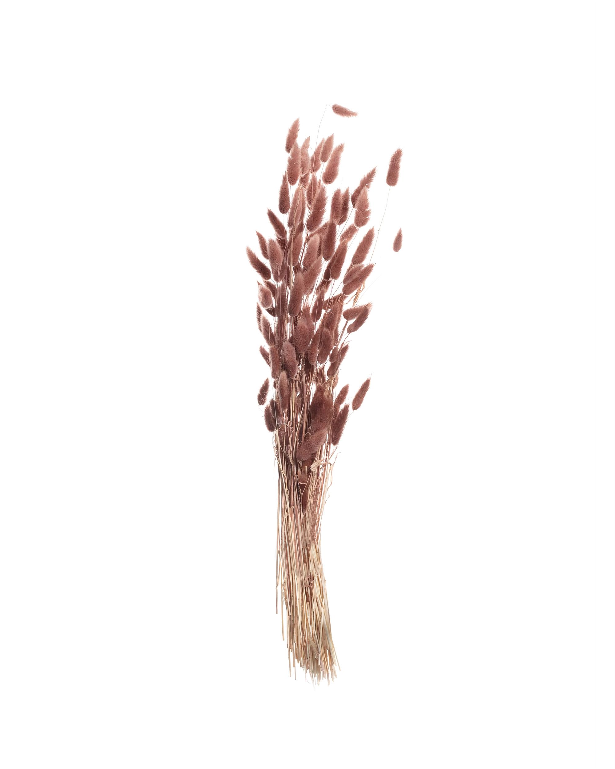 Kytica fúkačiek 60cm dusty pink