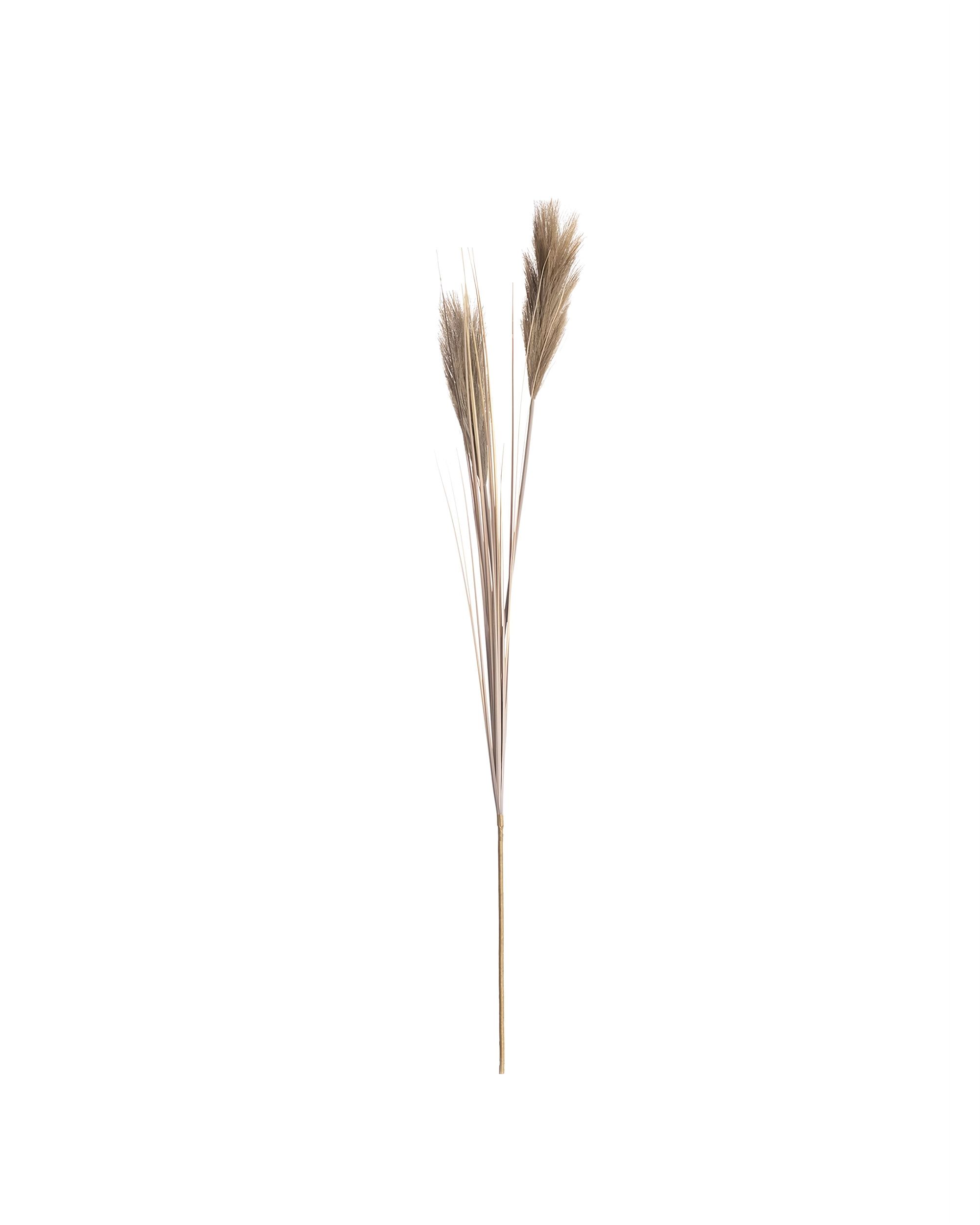 Dekoratívny tŕstie 100cm beige