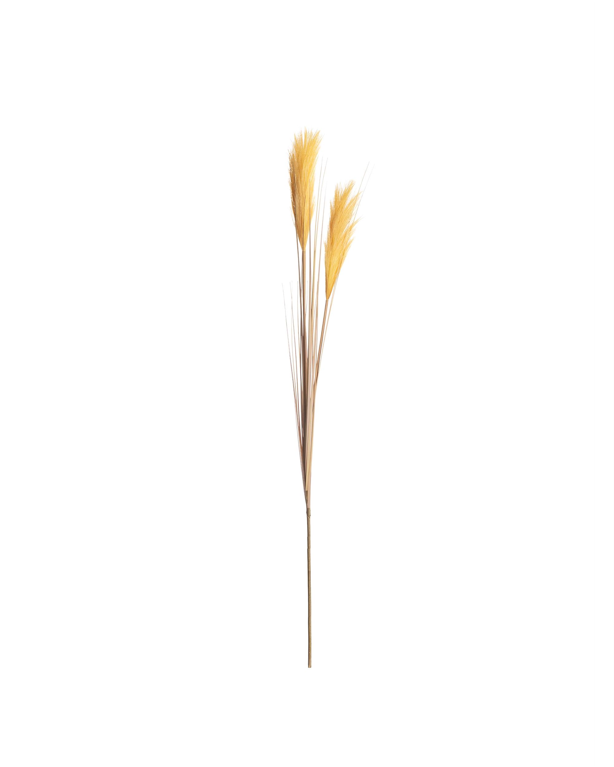 Dekoratívny tŕstie 100cm yellow