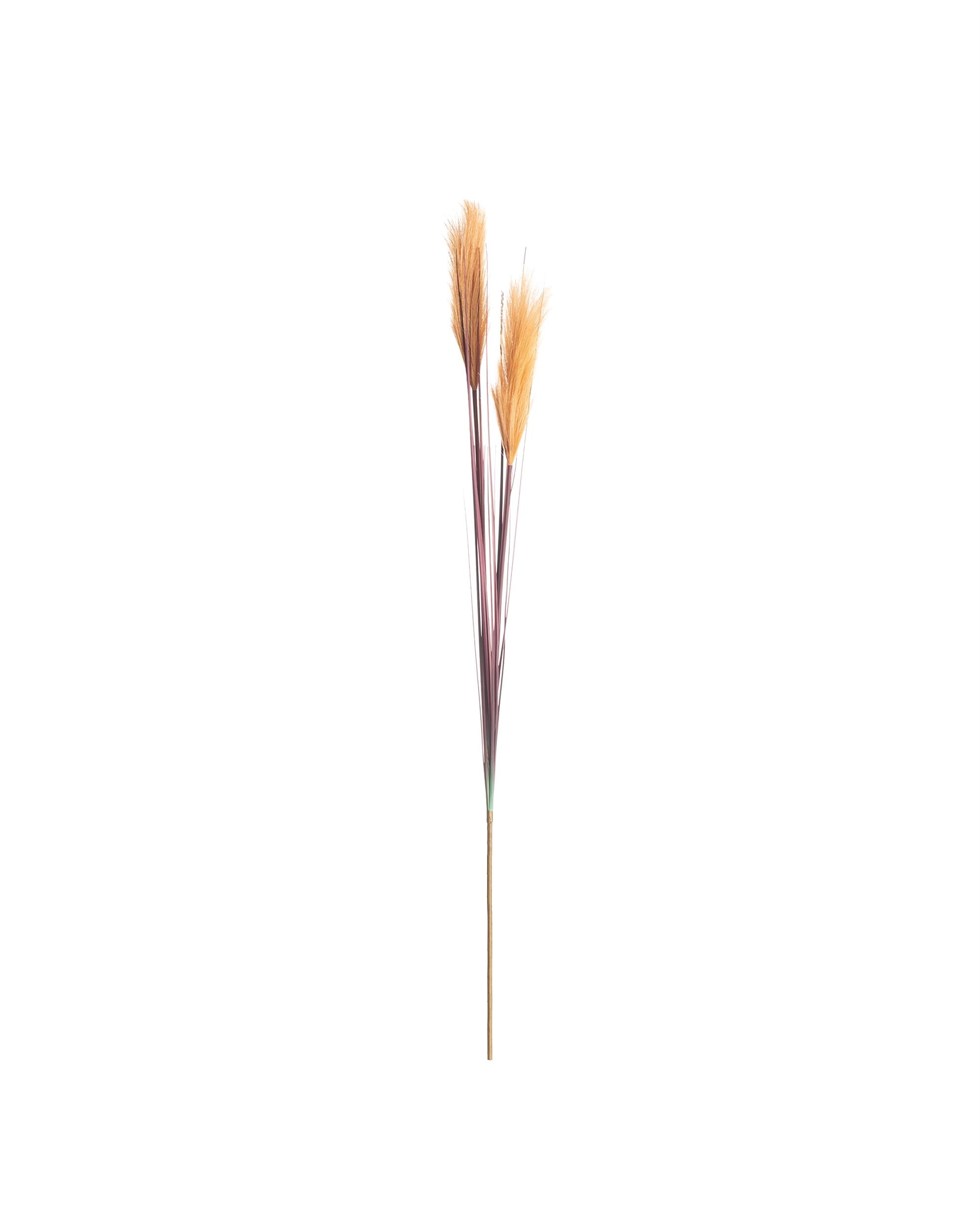Dekoratívny tŕstie 100cm orange