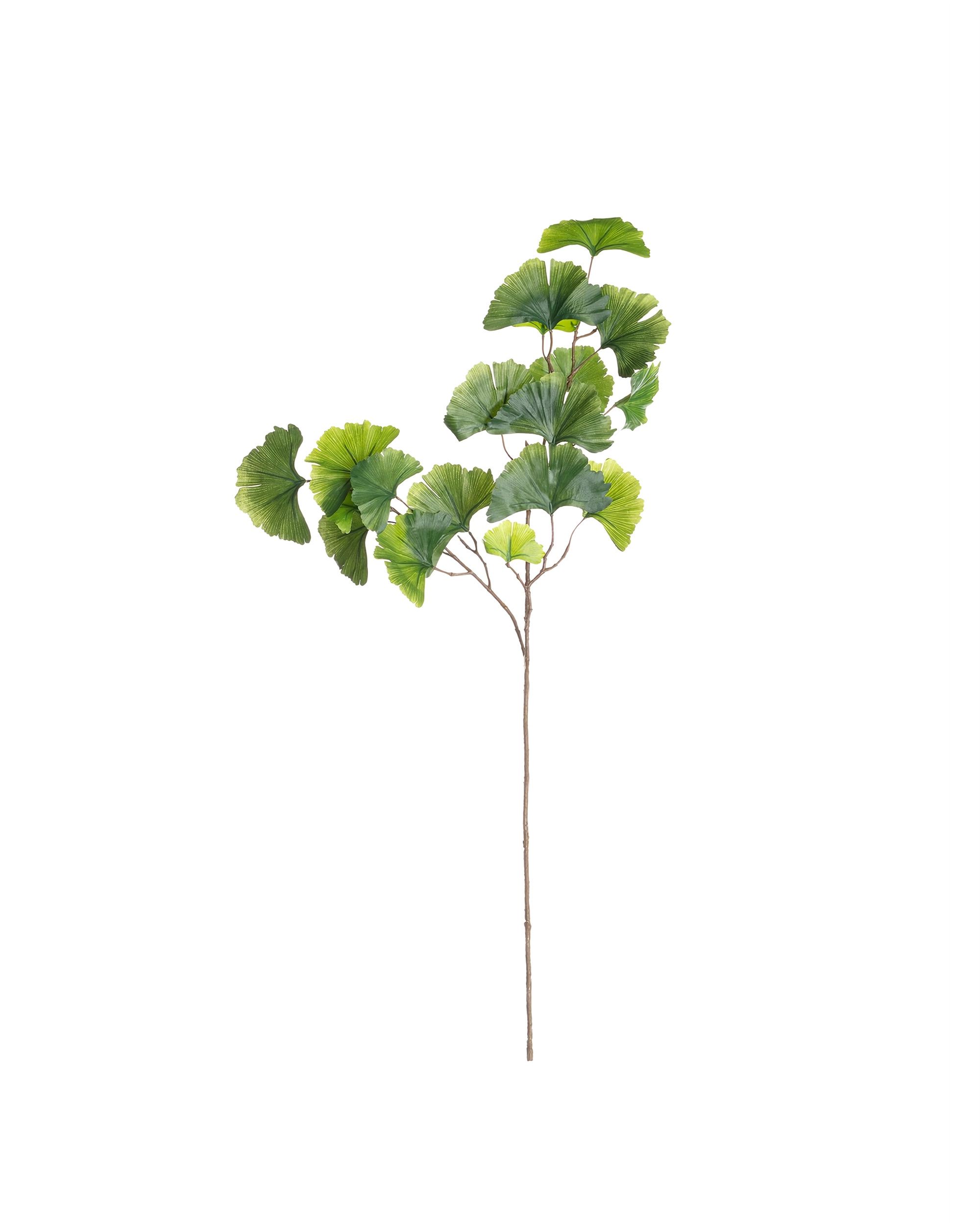 Strom Ginkgo na vetve 90cm