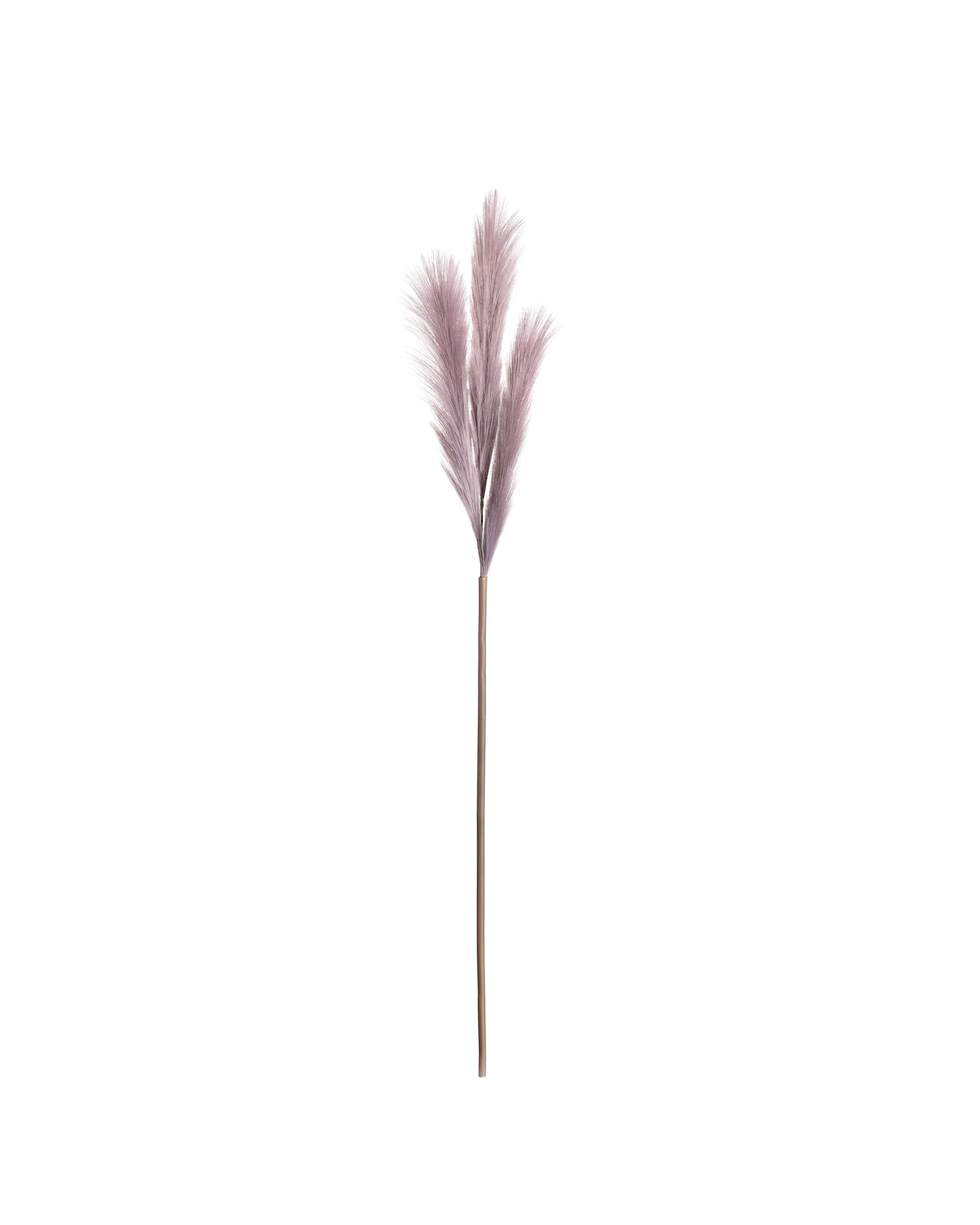 Pampová tráva 100cm light violet