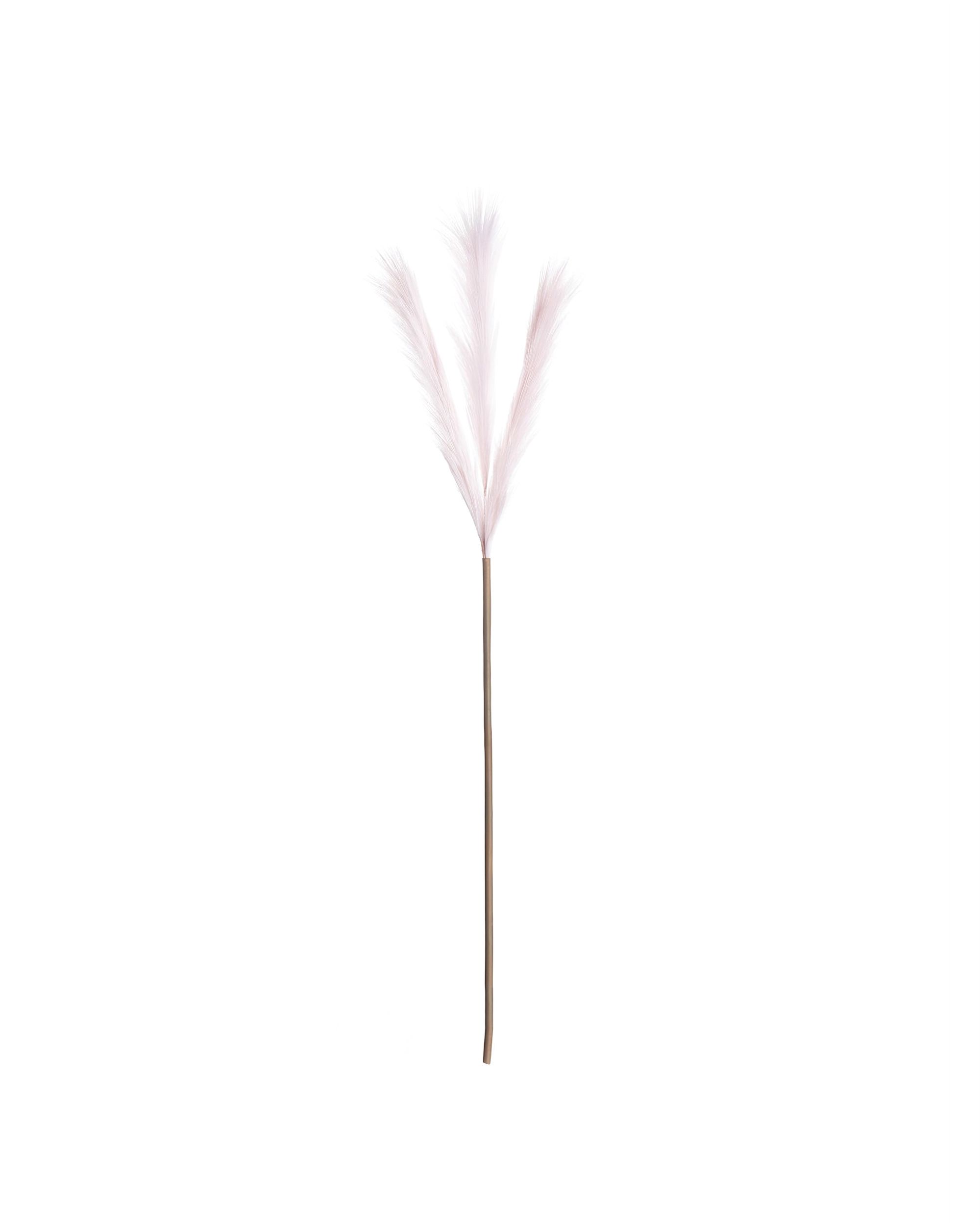 Pampová tráva 100cm light pink