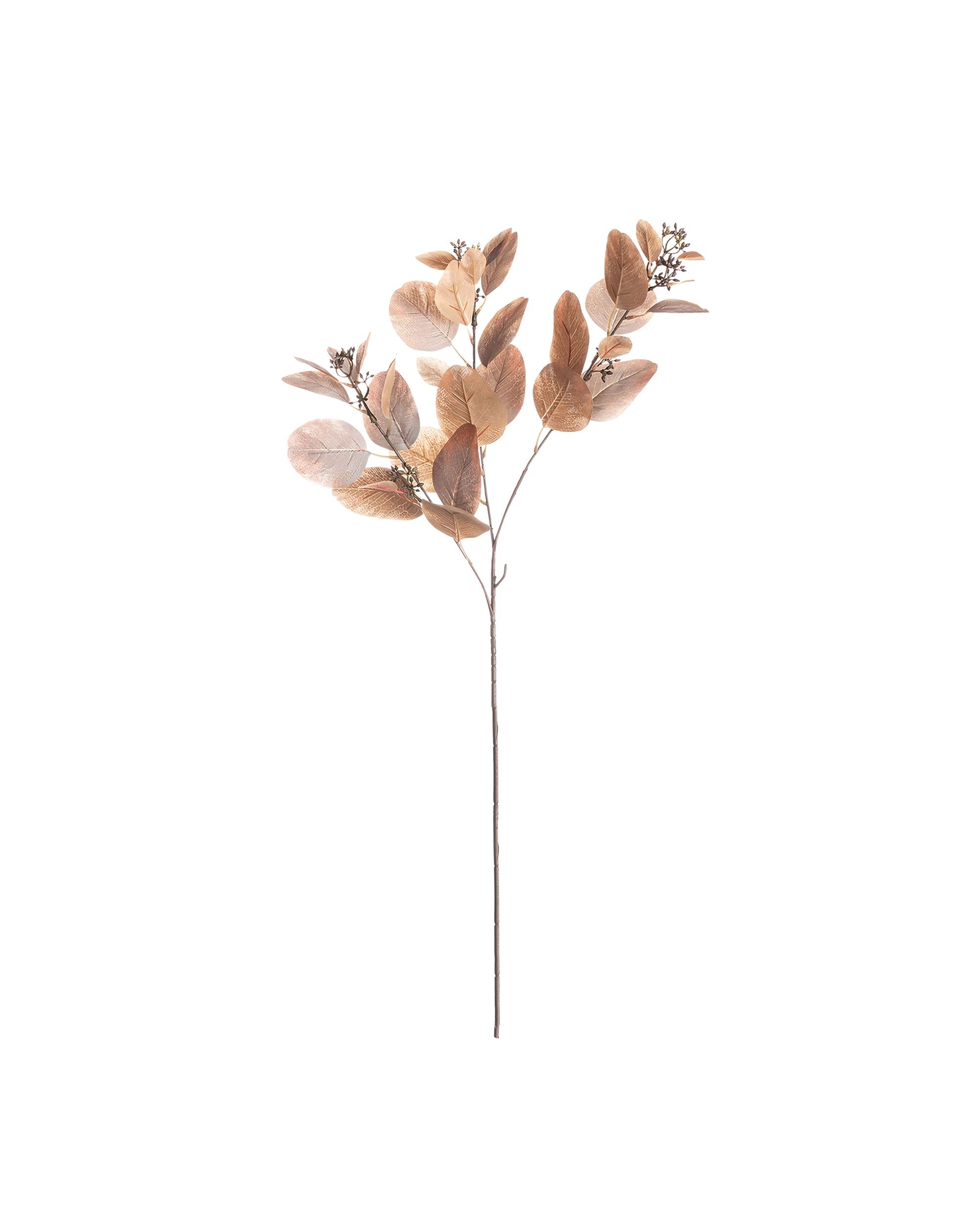 Eukalyptová vetvička 80cm brown