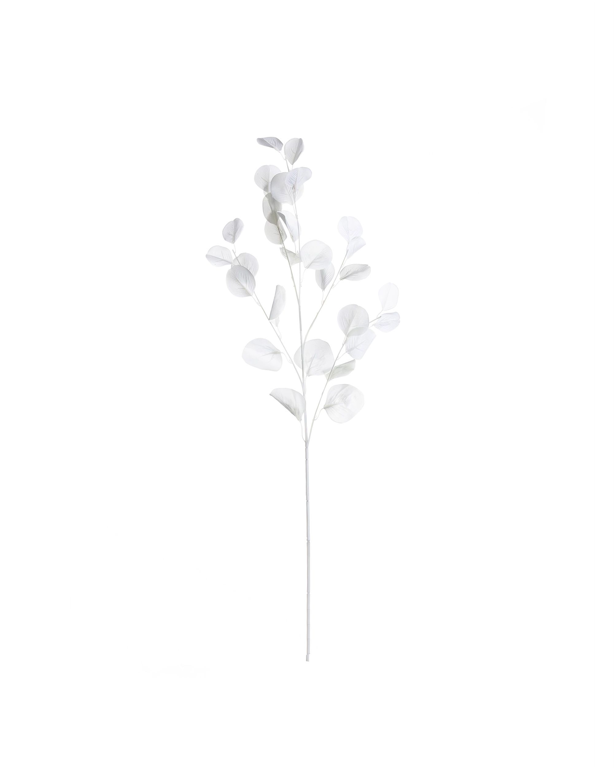 Eukalyptová vetvička 90cm white