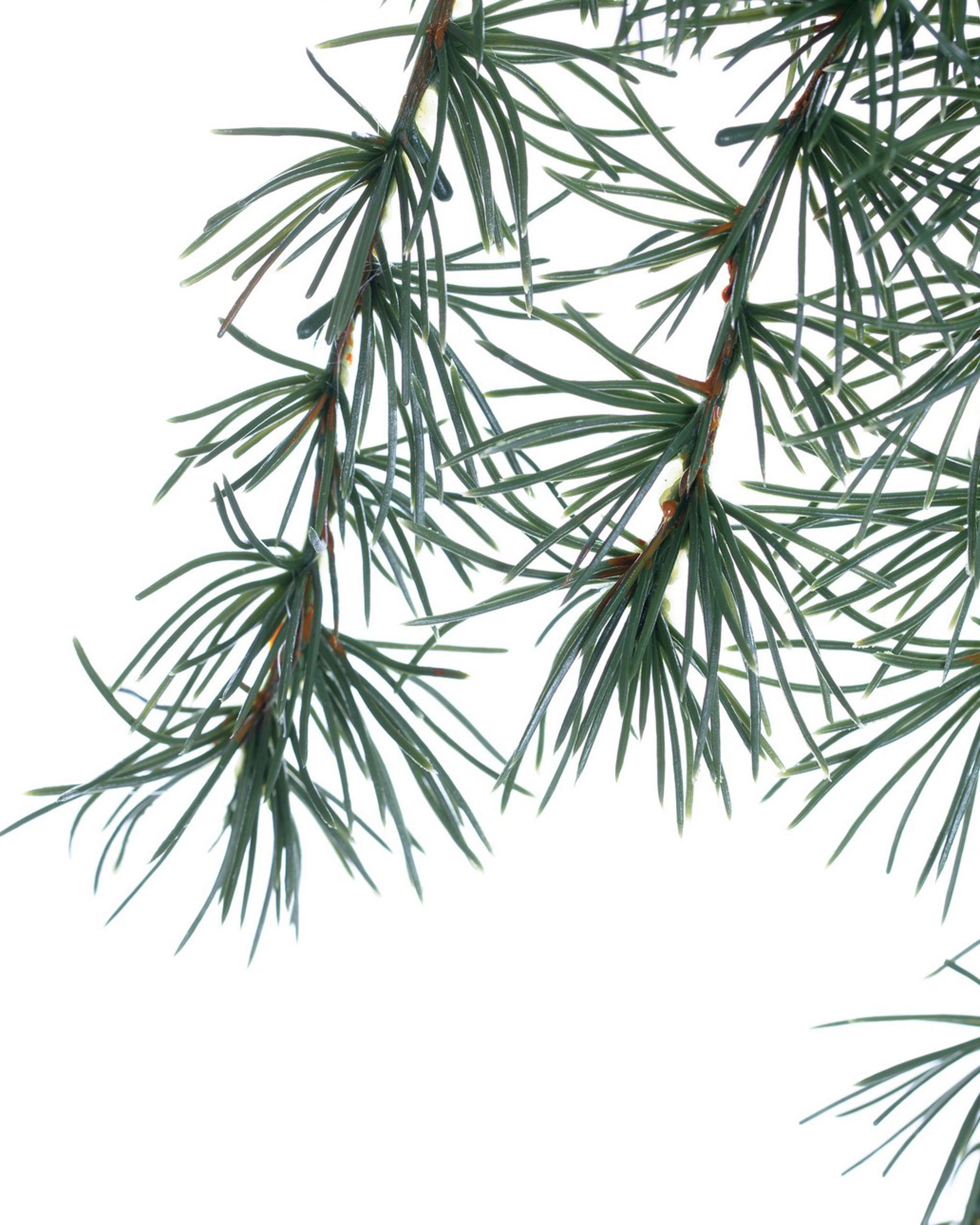 Vetva Christmas Tree 30x2x60cm dark green (hover)