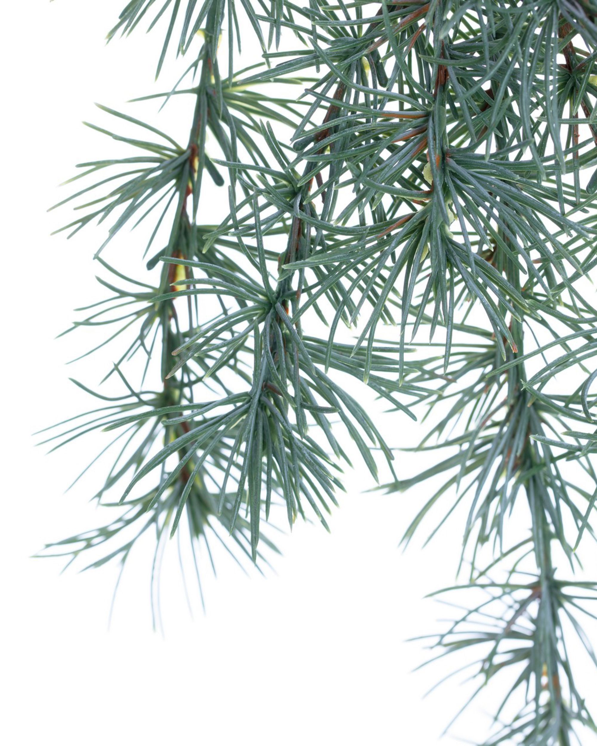 Vetvička Christmas Tree 30x2x60cm light green (hover)