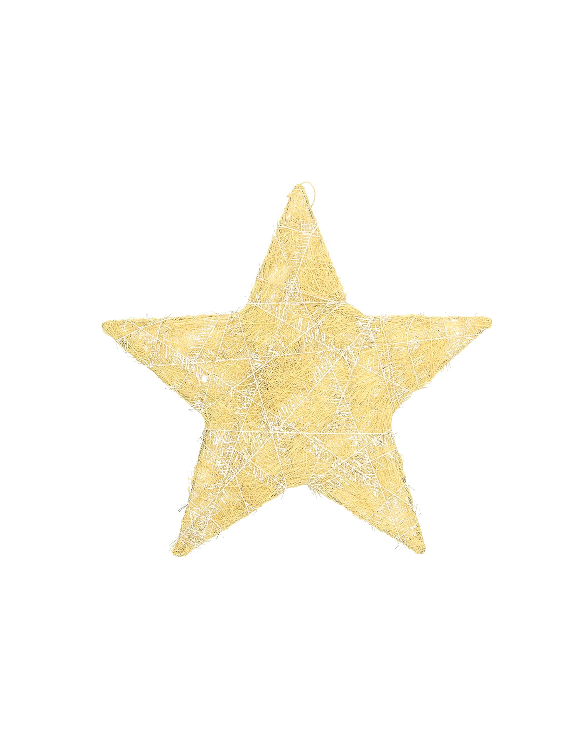 Vianočná ozdoba Golden Star II 25 cm