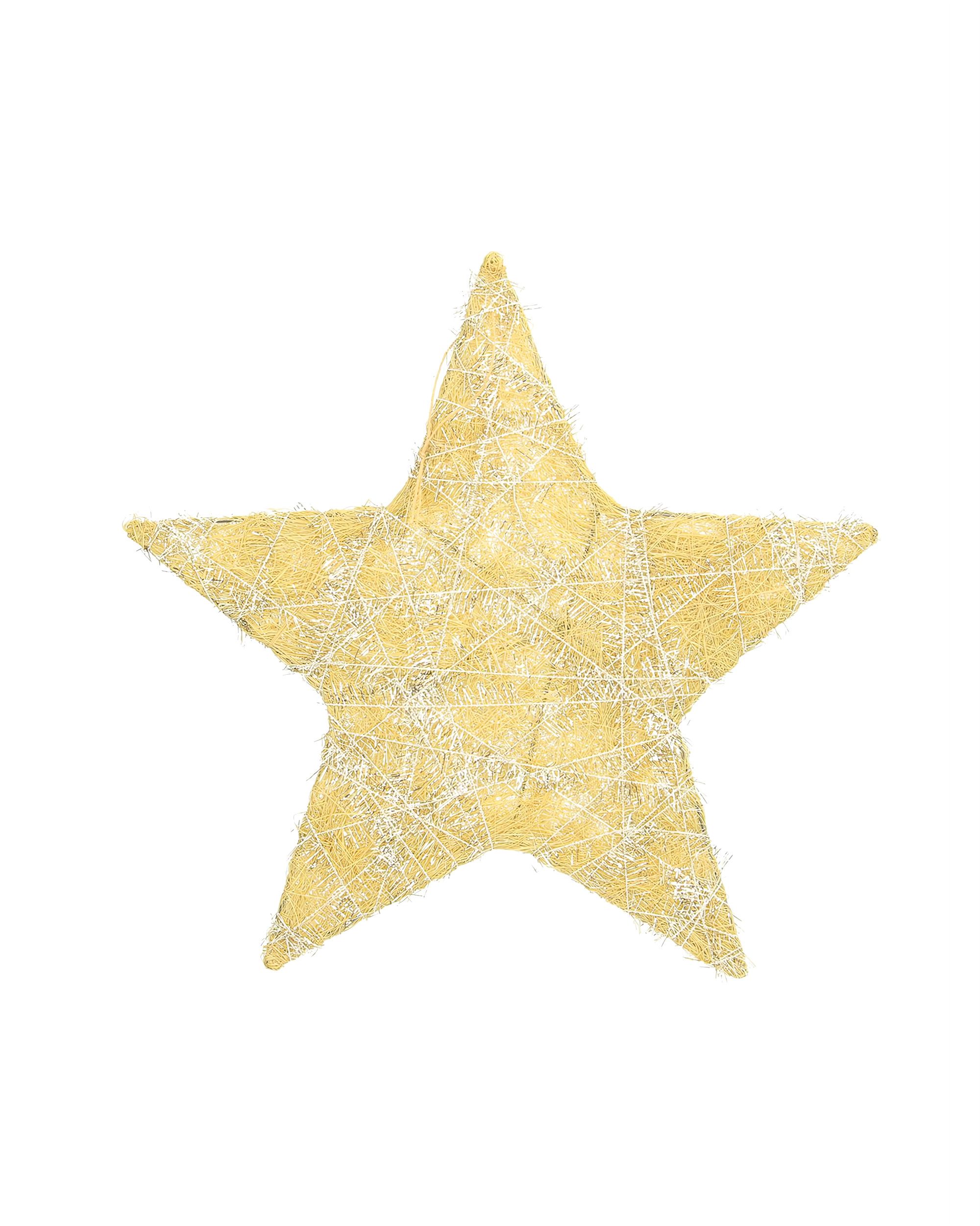 Vianočná ozdoba Golden Star II 30 cm