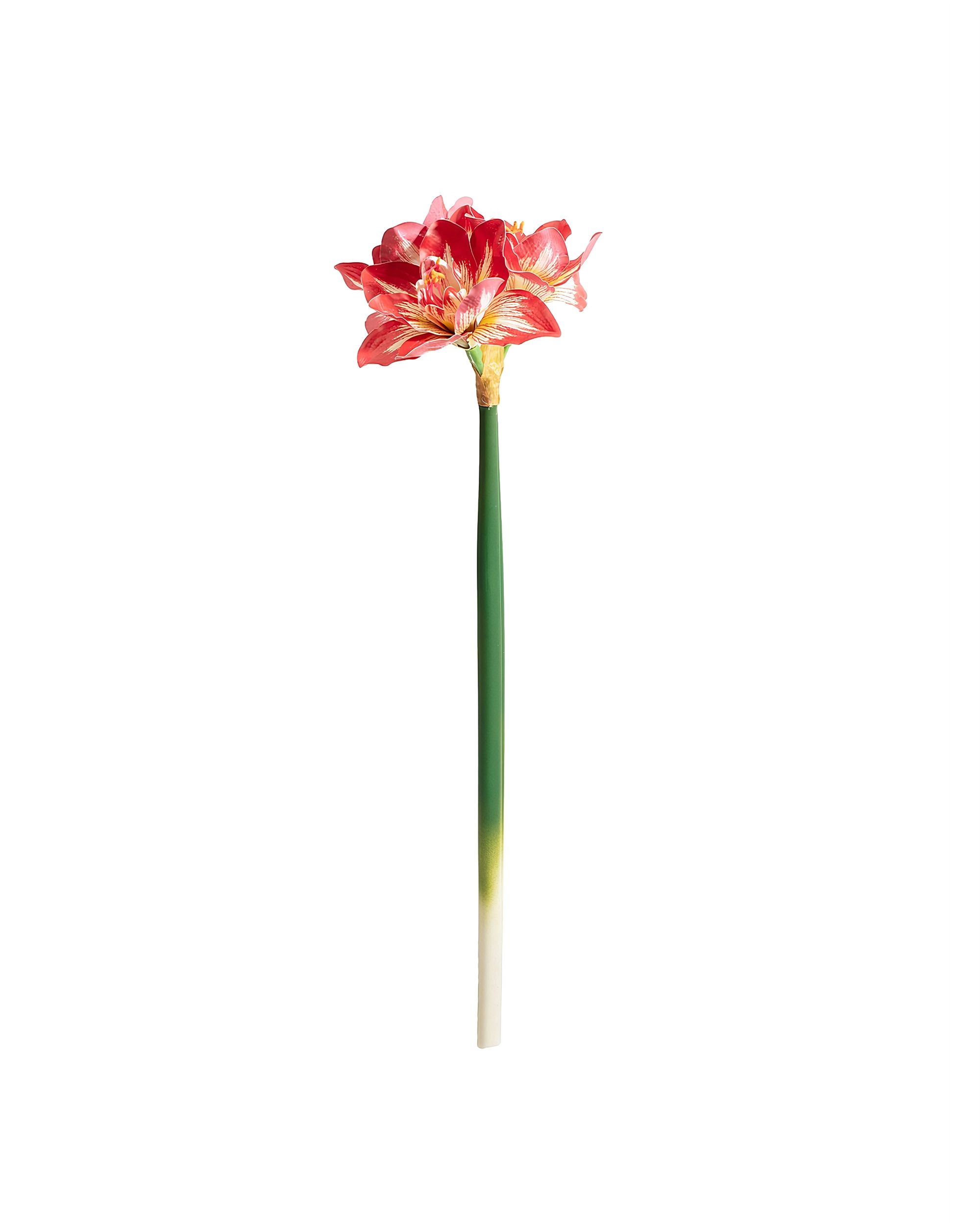 Umelá kvetina Amarylis 62 cm red