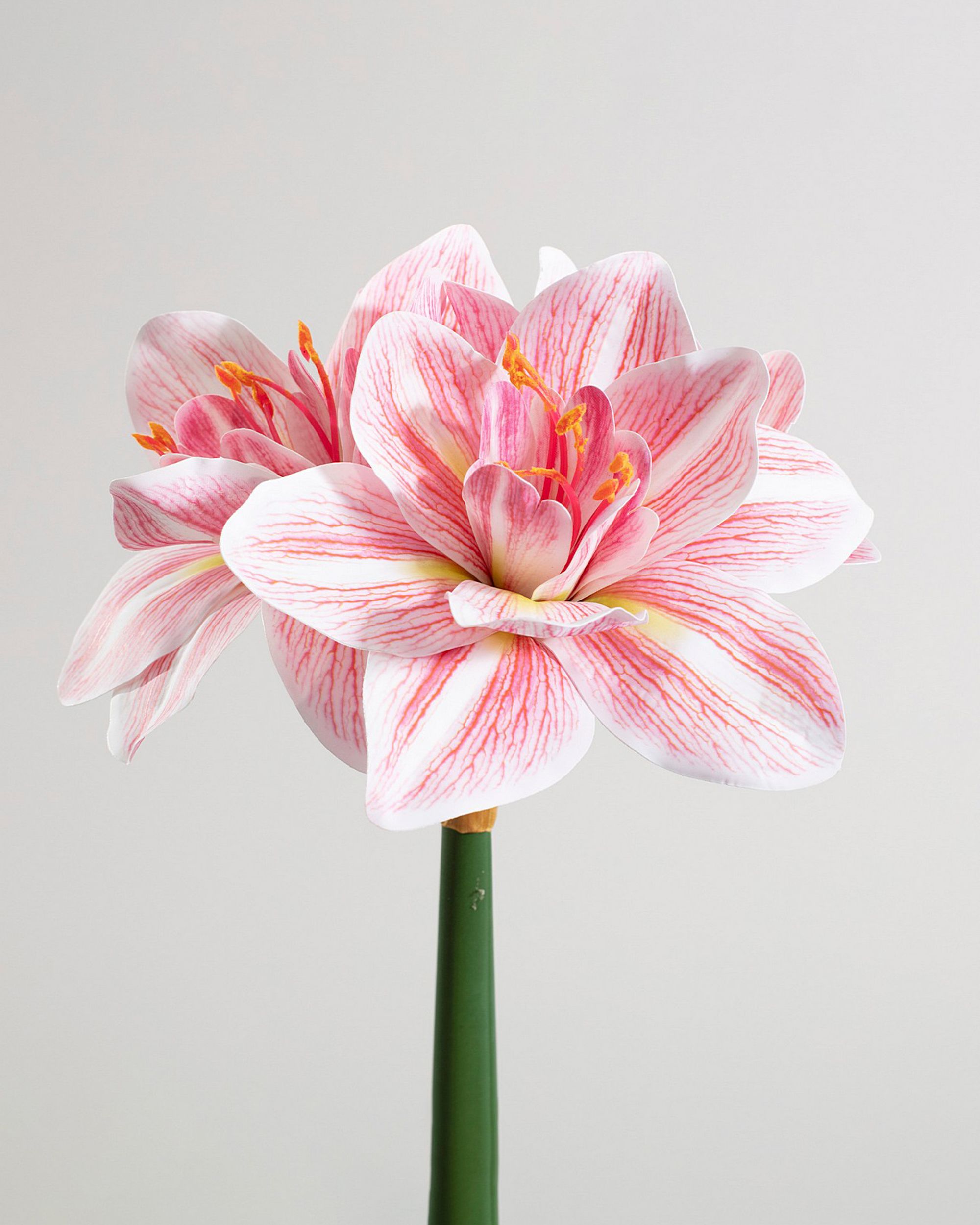 Umelá kvetina Amarylis 62 cm pink (hover)