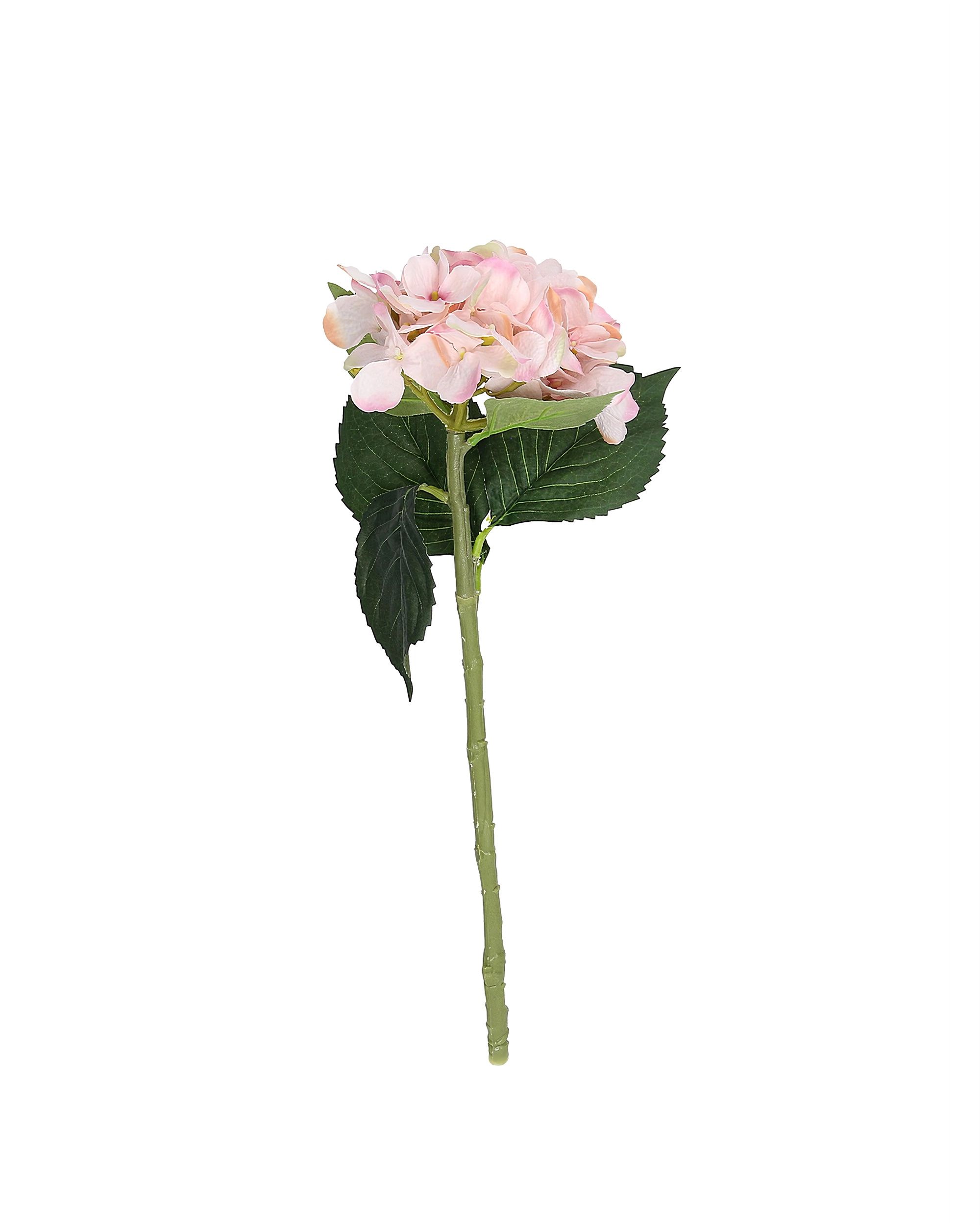 Vetvička hortenzie 50 cm