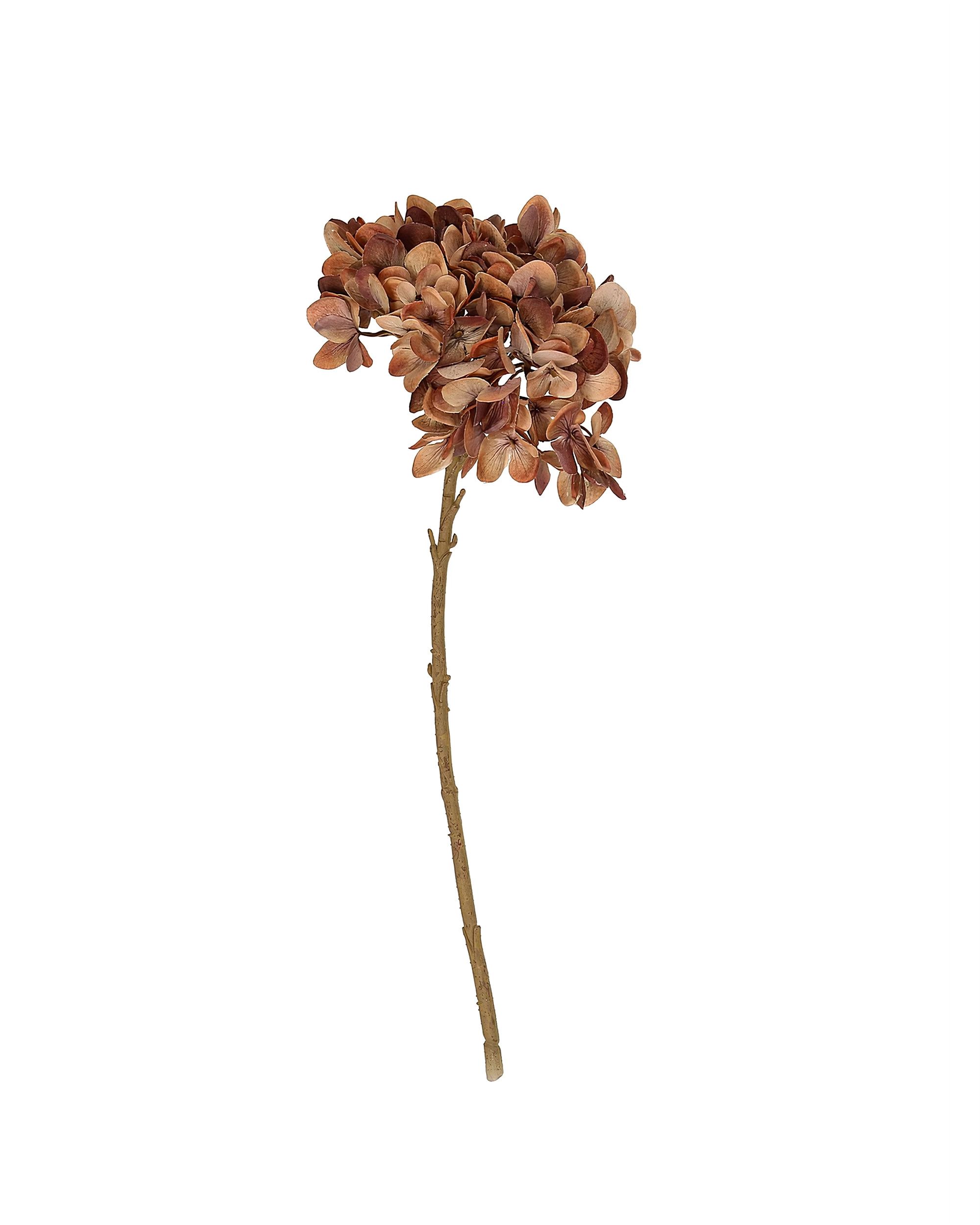 Vetvička hortenzie 46 cm